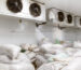 Cold storage warehouse