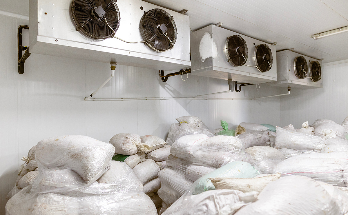 Cold storage warehouse